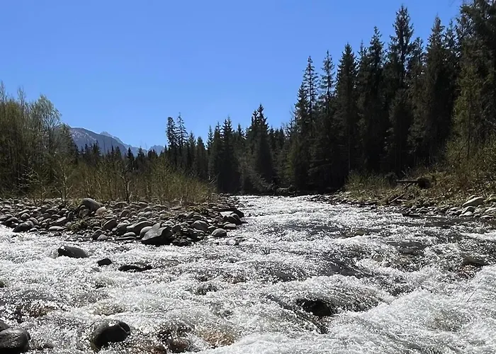 Ferienhaus Dziupla - Tatra Rustic Log