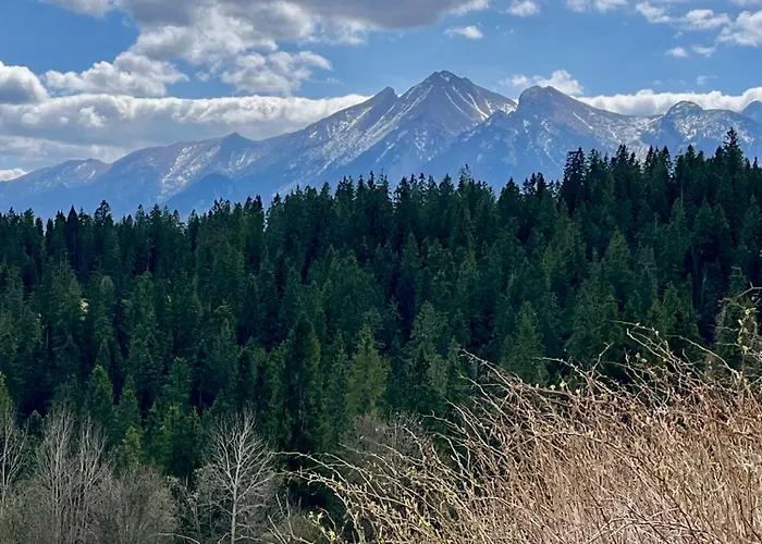 Ferienhaus Dziupla - Tatra Rustic Log *